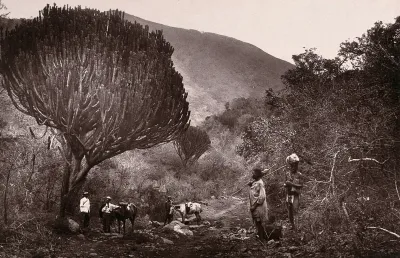 Elephant's Creek, South Africa: a rough road linking Barberton to Fair View and Eureka City