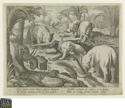 Elephants helping each other out of a trap