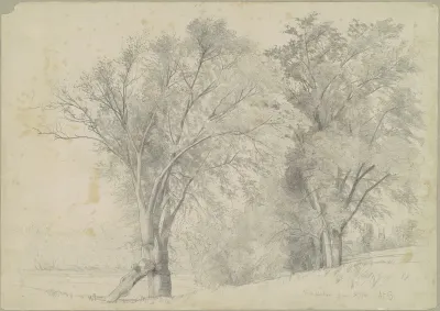 Elms, Hudson
