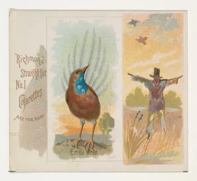 Emeu Wren, from the Song Birds of the World series (N42) for Allen & Ginter Cigarettes