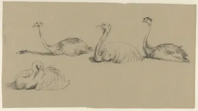 Emu's