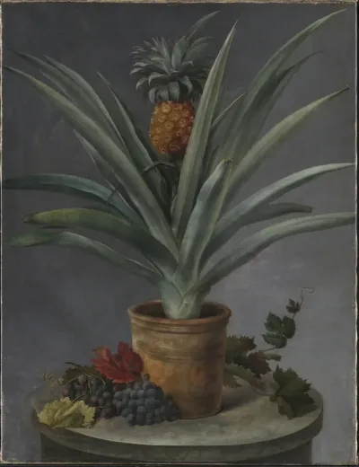 En ananas i urtepotte og druer på et stenbord