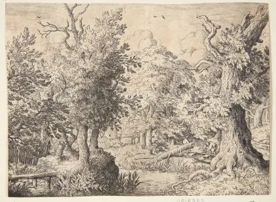 En bæk i en skov