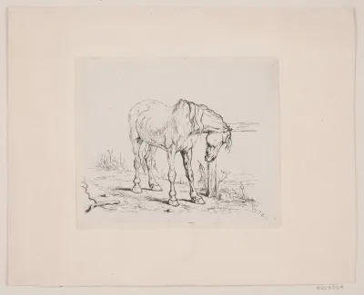 En gammel hest