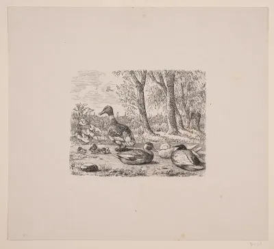 En gruppe ænder i Gæa, Æsthetisk Aarbog, 1845
