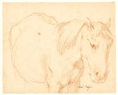 En hest