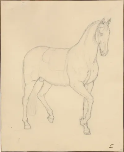 En hest i skridtbevægelse mod højre.