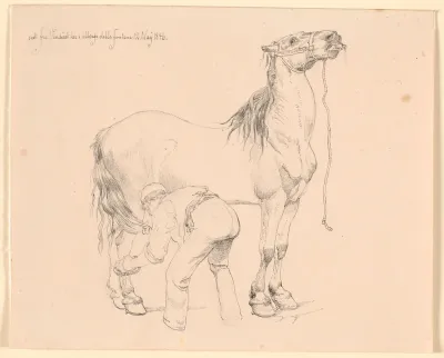 En hest strigles