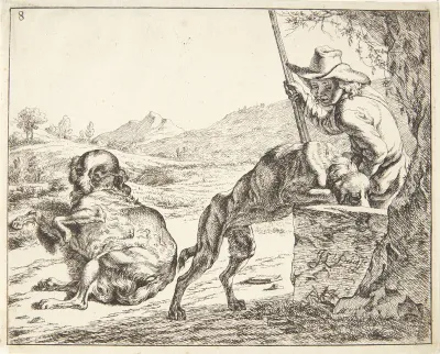 En hund, som drikker