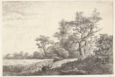 En kornmark