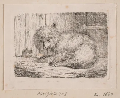 En langhåret hund