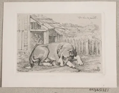 En liggende hund