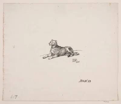 En liggende hund