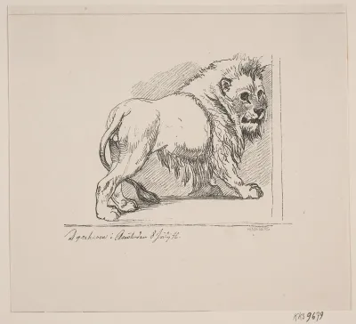 En løve i dyrehaven i Amsterdam 8. juli 1846