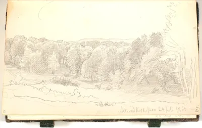 En skov set fra en bakke