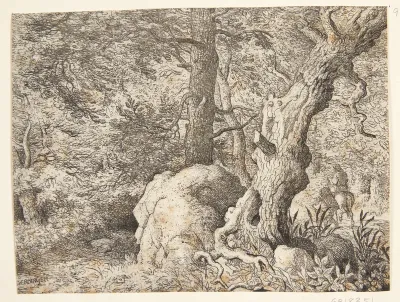 En skov