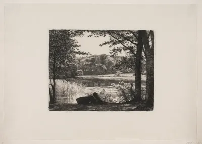 En skovsø ved Hellebæk