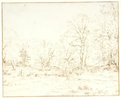 En skovvej