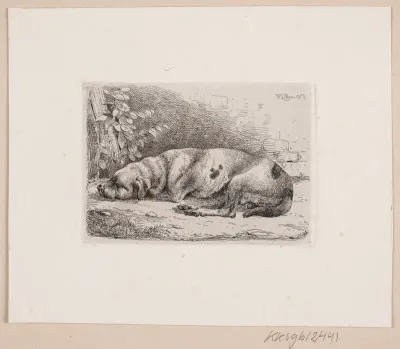 En sovende hund