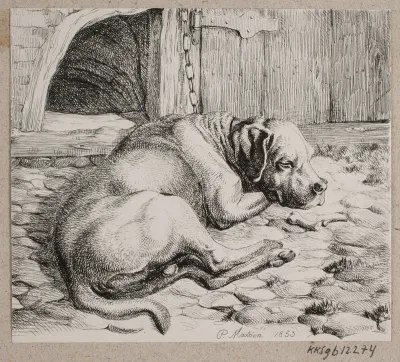 En sovende lænkehund