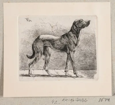 En stående hund