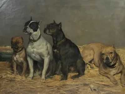 English bulldogs