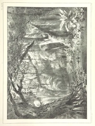 engraving from "Kolonisatie van Europeanen te Suriname. Opheffing van het pauperisme, ontwikkeling van handel en industrie, met ongeveer 90 platen".