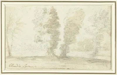 Enkele hoge bomen voor een open veld