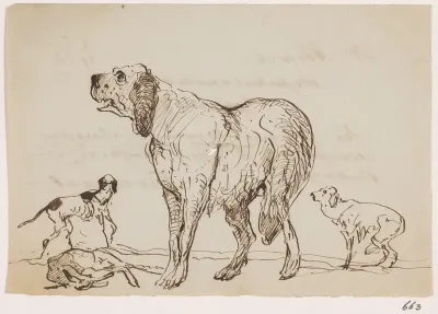 Enkele honden bij een haas
