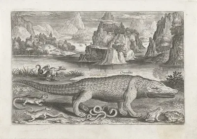 Enkele reptielen en amfibieën op een oever
