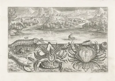 Enkele schaaldieren op het strand