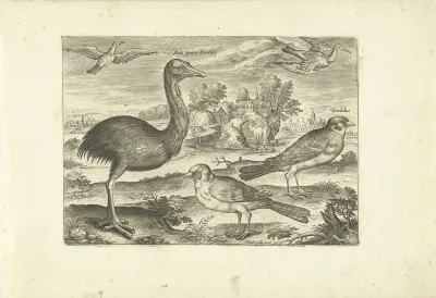 Enkele vogels in een landschap