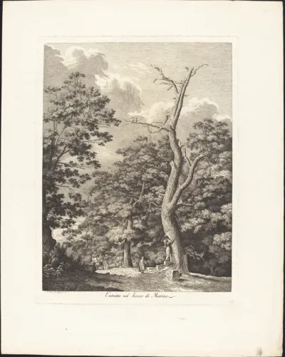 Entrata nel bosco di Marino