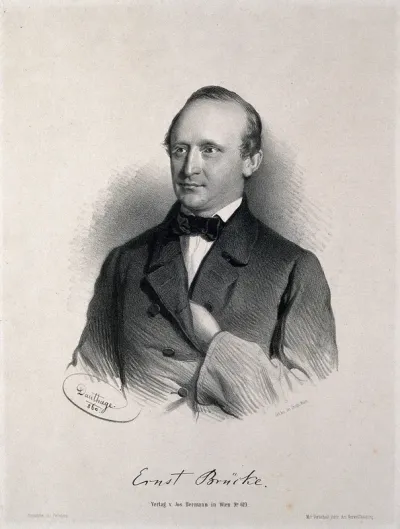 Ernst Wilhelm von Bruecke