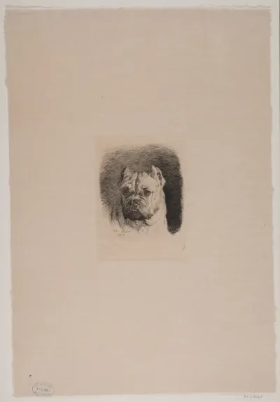 Et hundehoved