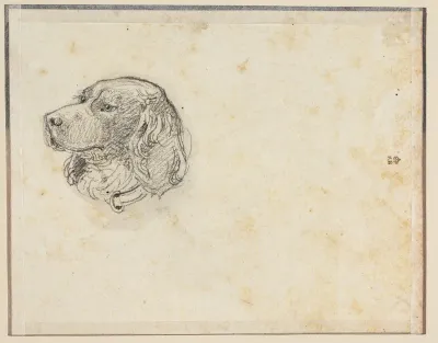 Et hundehoved