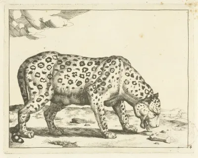 Etend luipaard