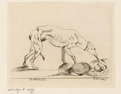 Etende hond