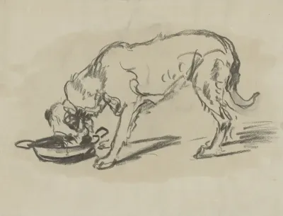 Etende hond