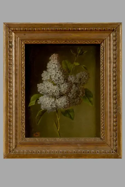 Etude d'une branche de lilas