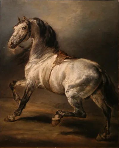 Étude de cheval gris