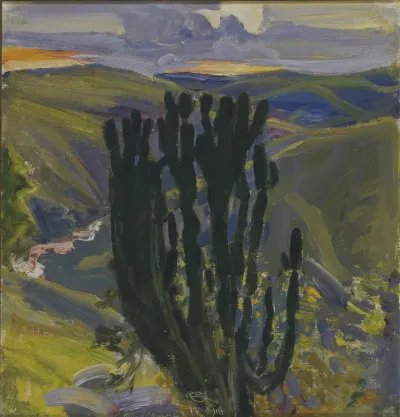 Euforbia-tree