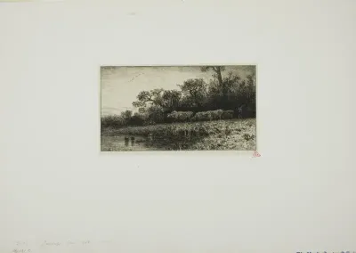 Evening Landscape