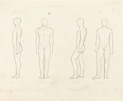 Extent of Motion, Front and Side View Equipoised, Supported on One Leg
