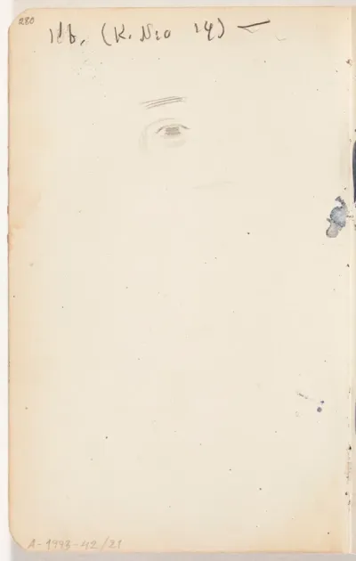 Eye