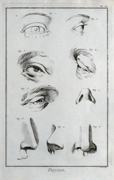 Eyes and noses. Engraving by B.L. Prevost