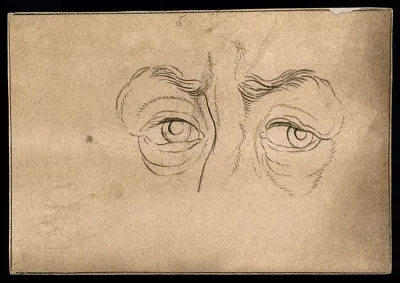 Eyes expressing an energetic character, according to Lavater's system of physiognomy