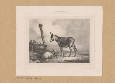 Ezel en schaap
