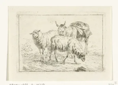 Ezel en twee schapen