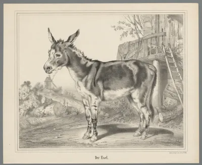 Ezel in een landschap met molen